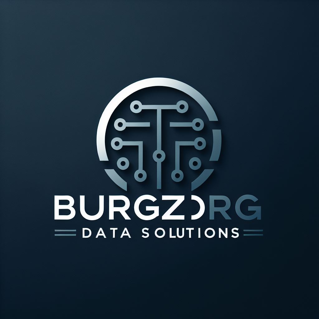 Burgzorg data solutions